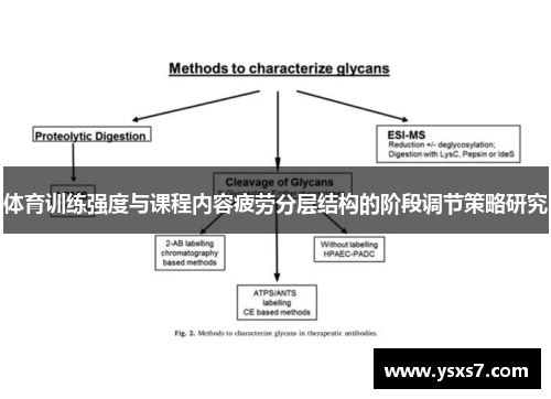 体育训练强度与课程内容疲劳分层结构的阶段调节策略研究